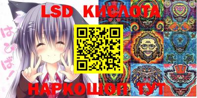 прущие крисы Будённовск