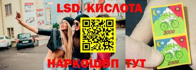 прущие крисы Будённовск