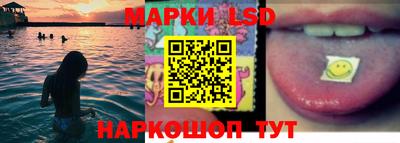 прущие крисы Будённовск