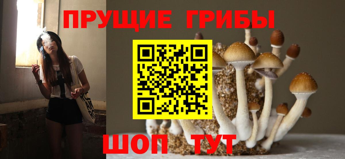 Брянск  Псилоцибиновые грибы мухоморы  Вход с VPN 